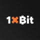 1XBit Casino